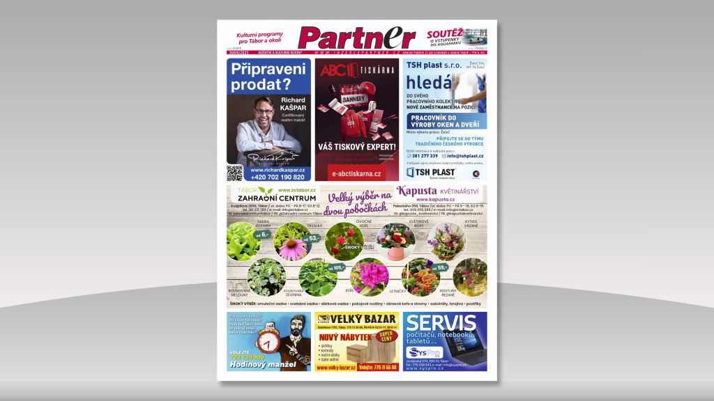 Partner 360/6/2025